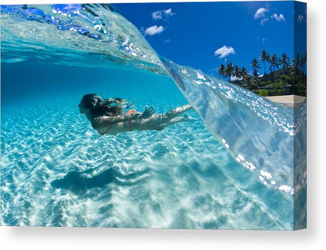 Ocean Canvas Print featuring the photograph Aqua Dive by Sean Davey