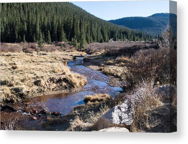 Colorado Canvas Print featuring the photograph Arapaho National Forest by Debra Powell