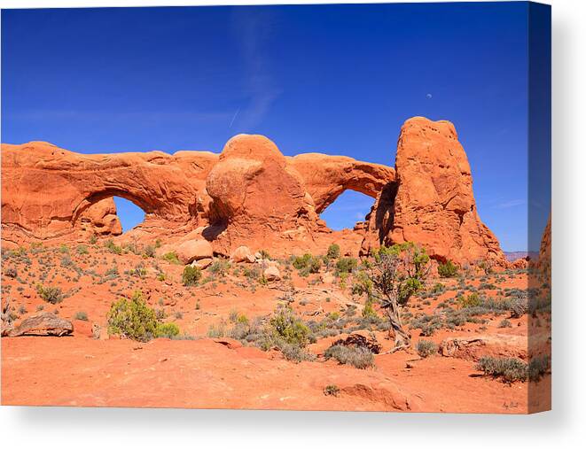 Arches National Park Canvas Print featuring the photograph Arches Windows by Greg Norrell