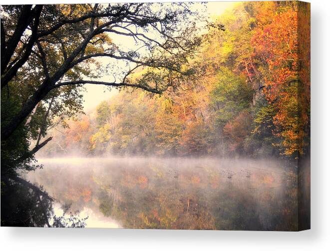 Fall Canvas Print featuring the photograph Arching Tree On The Current River by Marty Koch