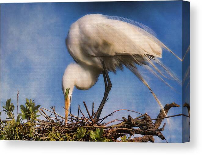 Egret Canvas Print featuring the photograph Are They Going To Hatch Soon by Deborah Benoit