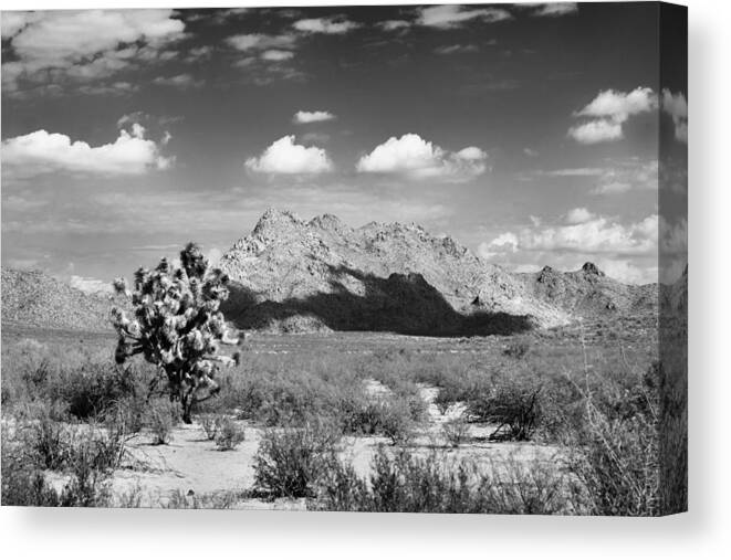 Arizona Canvas Print featuring the photograph Arizona Desert #1 by John Nelson
