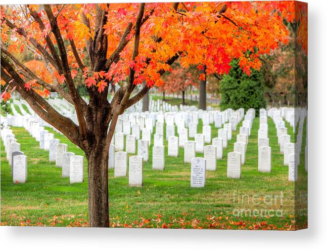 Clarence Holmes Canvas Print featuring the photograph Arlington National Cemetery in Autumn III by Clarence Holmes