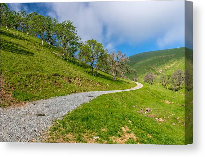 Brentwood Canvas Print featuring the photograph Around the Trees by Robin Mayoff