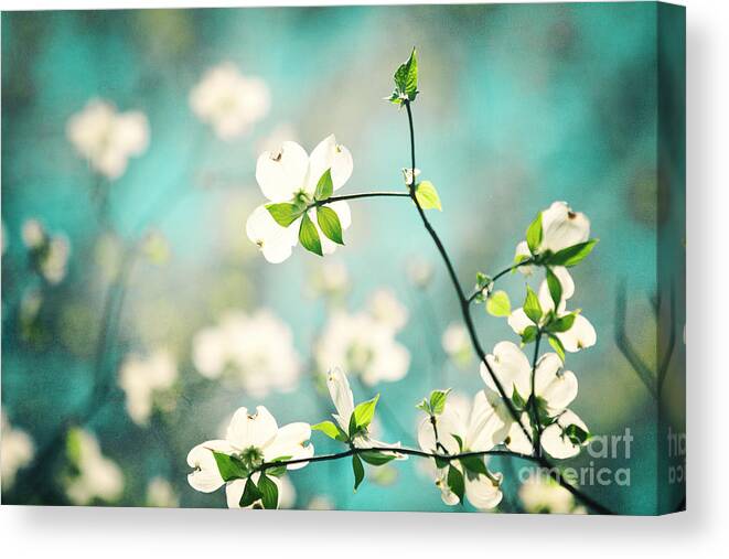 Floral Photography Canvas Print featuring the photograph Arouse by Kim Fearheiley