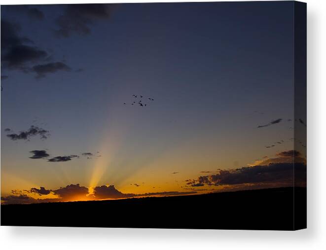 Photograph Canvas Print featuring the photograph As Night Falls by Rhonda McDougall