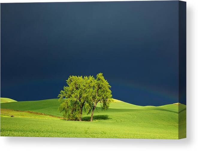 Dark Canvas Print featuring the photograph As the Sun Returns by Mary Lee Dereske