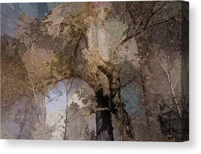 Aspen Canvas Print featuring the photograph Aspen Abstract by Bonnie Bruno
