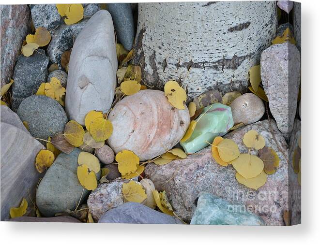 Aspen Canvas Print featuring the photograph Aspen Leaves on the Rocks by Dorrene BrownButterfield