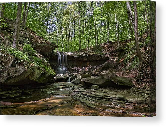 Blue Hen Falls Canvas Print featuring the photograph At Blue Hen Falls by Dale Kincaid