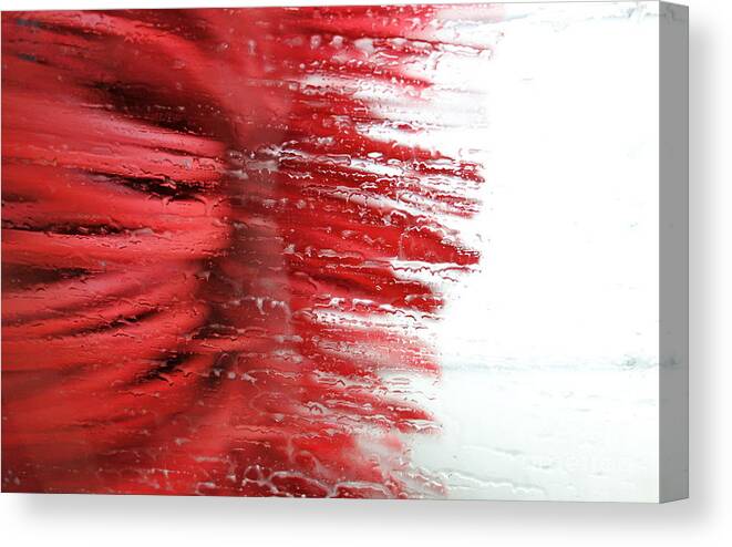 Car Wash Canvas Print featuring the photograph At The Car Wash 6 by Jacqueline Athmann
