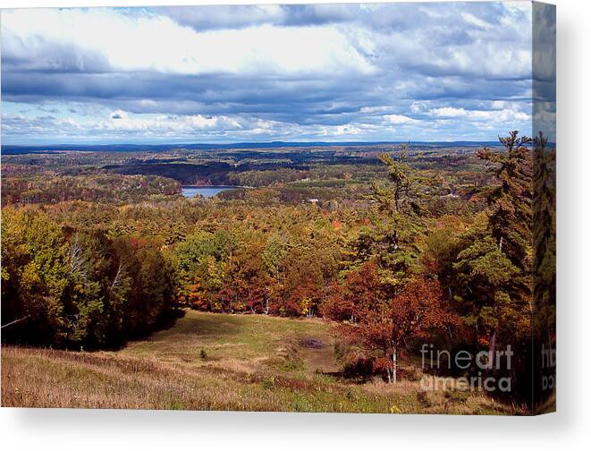 Pine Mountain Canvas Print featuring the photograph Atop Pine Mountain by Gwen Gibson