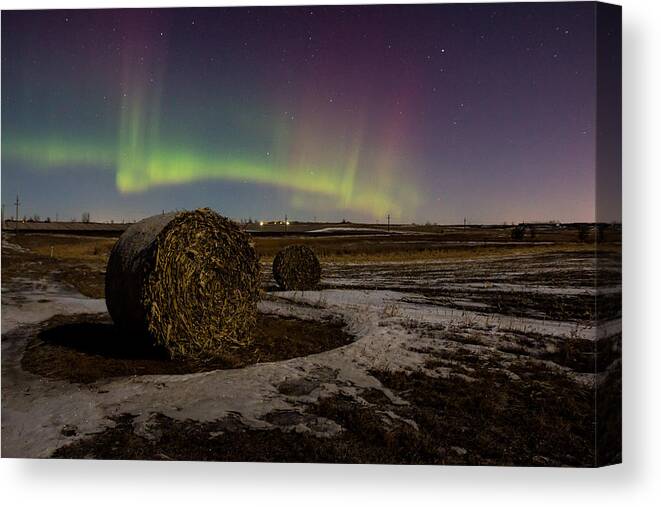 Hay Bales Canvas Print featuring the photograph Aurora Bales by Aaron J Groen