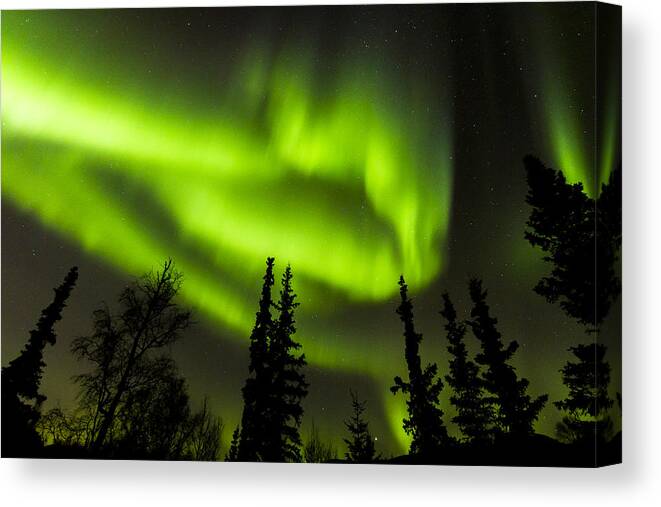 Aurora Borealis Photographs Canvas Print featuring the photograph Aurora Wave by Kyle Lavey