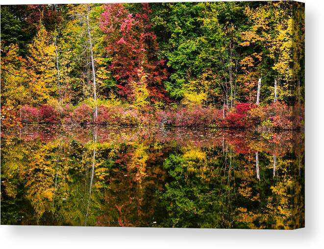 Mendon Ponds Park Canvas Print featuring the photograph Autumn at Mendon Ponds by Sara Frank