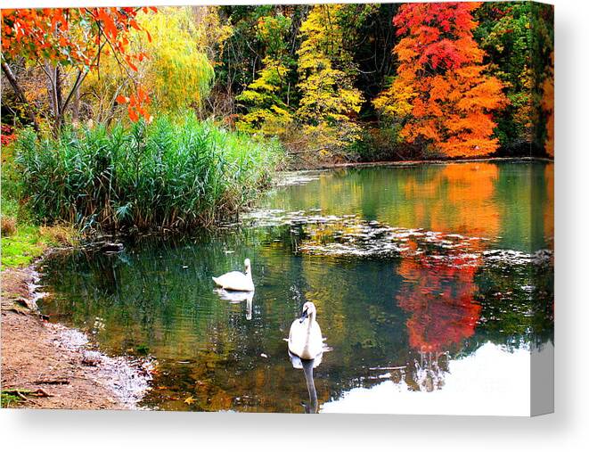 Autumn Canvas Print featuring the photograph Autumn by the Swan Lake by Dora Sofia Caputo