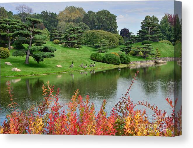 Garden Canvas Print featuring the photograph Autumn Chicago Botanical Gardens by Joanne West