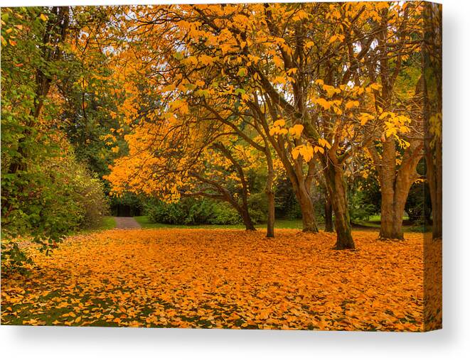 Landscape Canvas Print featuring the photograph Autumn Colors I by Chris McKenna