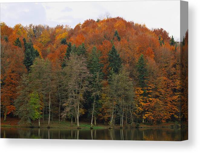 Autumn Canvas Print featuring the photograph Autumn colors by Ivan Slosar