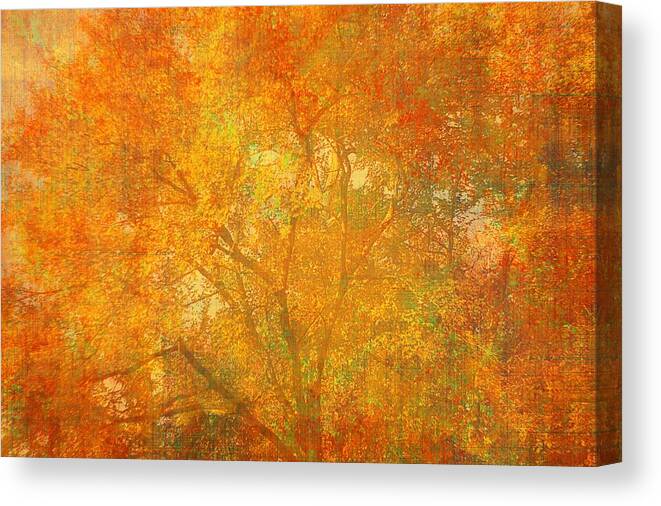Tree Canvas Print featuring the photograph Autumn Colors by Suzanne Powers