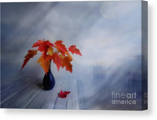 Art Canvas Print featuring the photograph Autumn colors by Veikko Suikkanen