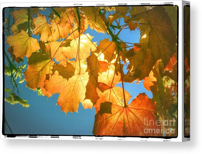 Autumn Canvas Print featuring the photograph Autumn Found by Spikey Mouse Photography