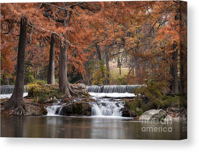 Hunt Canvas Print featuring the photograph Autumn Idyll by Bob Phillips