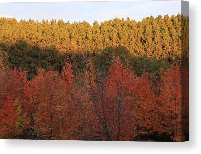 Arcadia Canvas Print featuring the photograph Autumn in Arcadia by Sheryl Burns