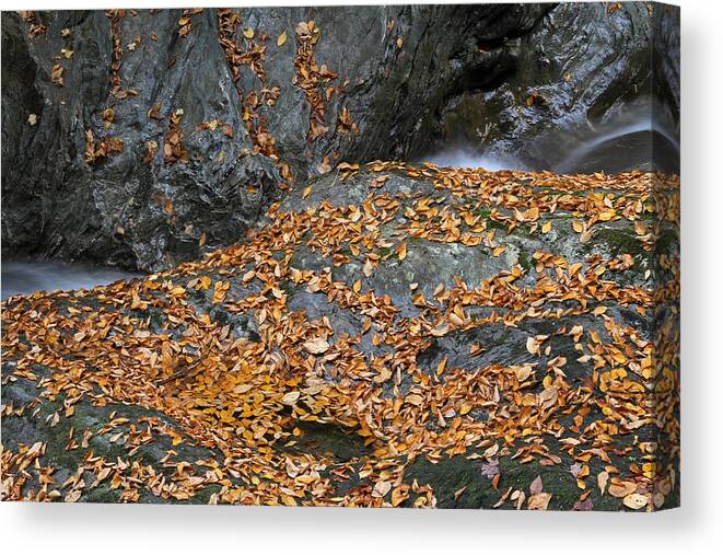 Vermont Canvas Print featuring the photograph Autumn in New England by Juergen Roth