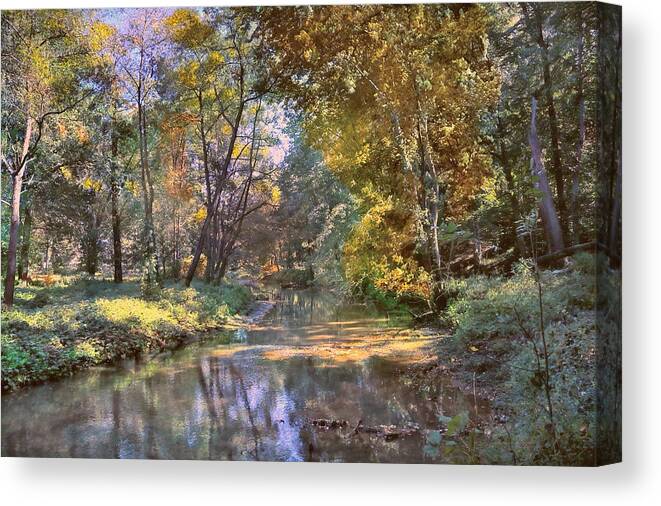 Autumn Canvas Print featuring the photograph Autumn in the afternoon by John Rivera