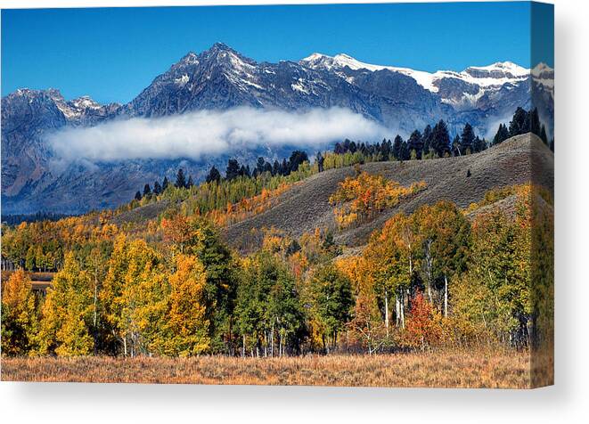 Grand Tetons National Park Canvas Print featuring the photograph Autumn in the Tetons by Dave Mills