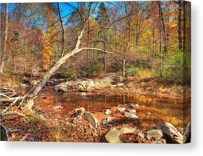 Landscape Canvas Print featuring the photograph Autumn in Virginia by Michael Clubb