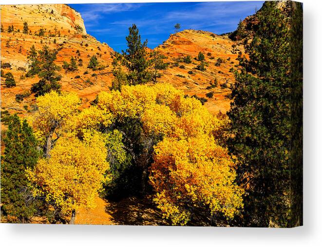 Zion Canvas Print featuring the photograph Autumn in Zion by Greg Norrell