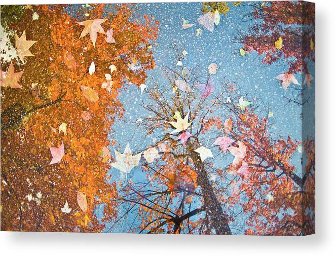 Standing Water Canvas Print featuring the photograph Autumn Leaves by Nazra Zahri