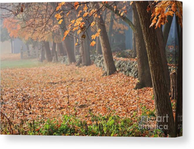 Autumn Canvas Print featuring the photograph Autumn Morning Fog by Jayne Carney