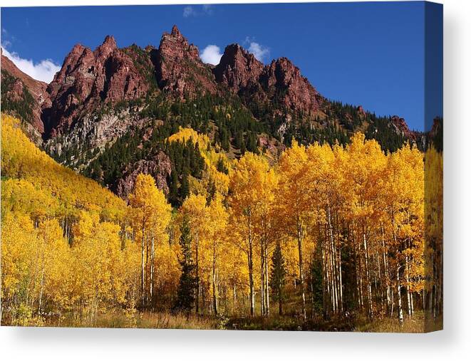 Maroon Canvas Print featuring the photograph Autumn near Maroon Bells by Jetson Nguyen