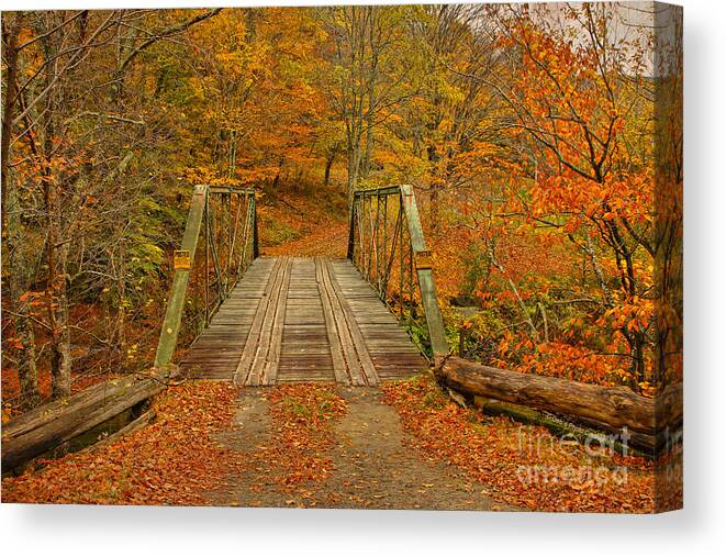 Autumn Canvas Print featuring the photograph Autumn Orange Colors by Deborah Benoit