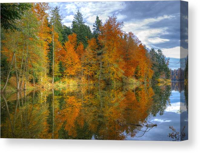 Autumn Canvas Print featuring the photograph Autumn reflection by Ivan Slosar