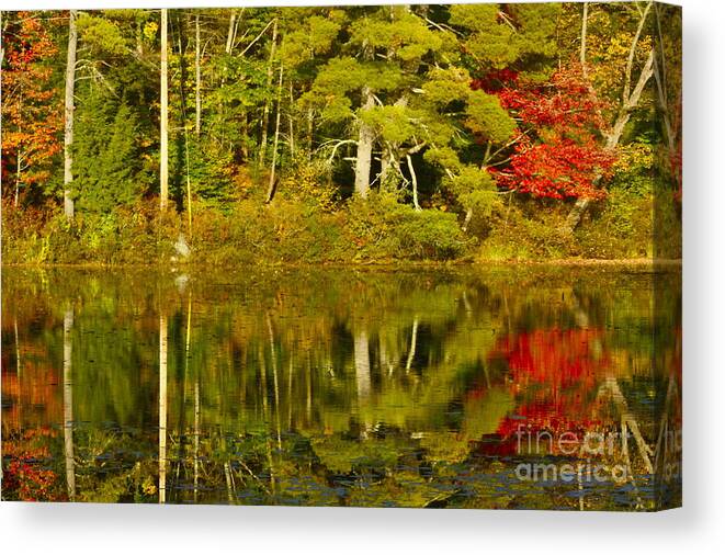 Moose Pond; Denmark Canvas Print featuring the photograph Autumn Reflections by Alice Mainville