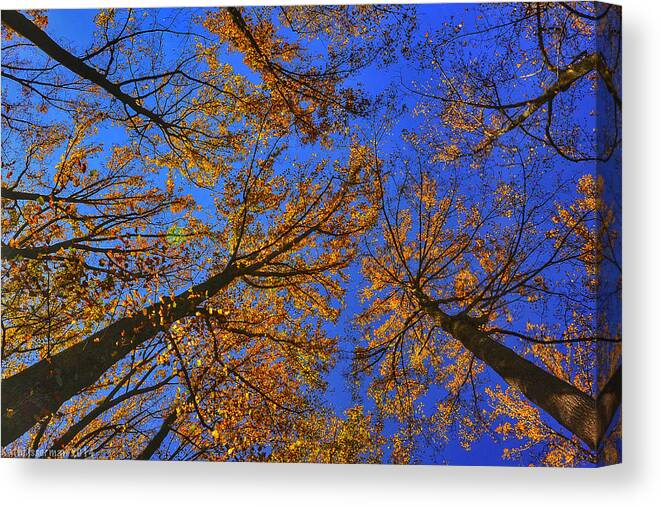 Brighton Dam Canvas Print featuring the photograph Autumn Sky by Kathi Isserman