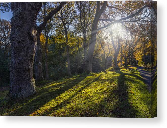 Autumn Canvas Print featuring the photograph Autumn Stroll v2 by Ian Mitchell
