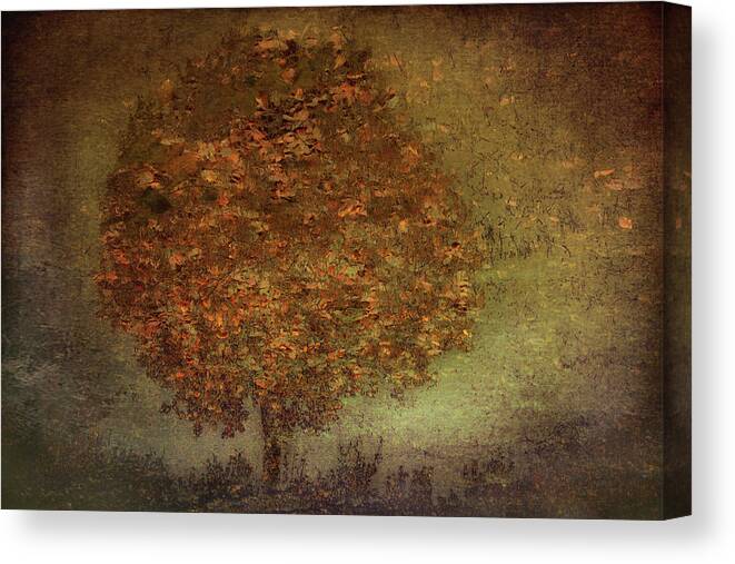 Autumn Canvas Print featuring the photograph Autumn Tree by Nel Talen