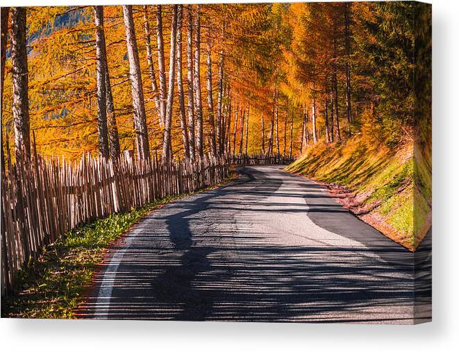 Moon Canvas Print featuring the photograph Autumn way by Stefano Termanini