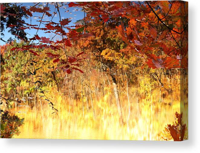 Fall Canvas Print featuring the photograph Autumnal Fire by James Hammen