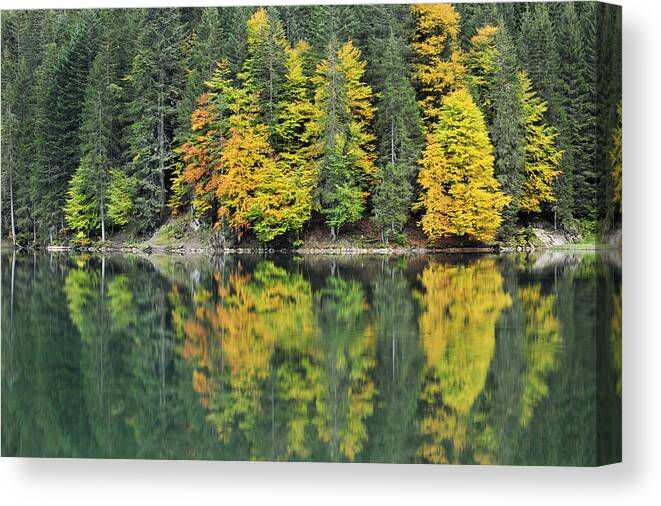 Nis Canvas Print featuring the photograph Autumn forest Reflected In Lake Haute by Andre Gilden