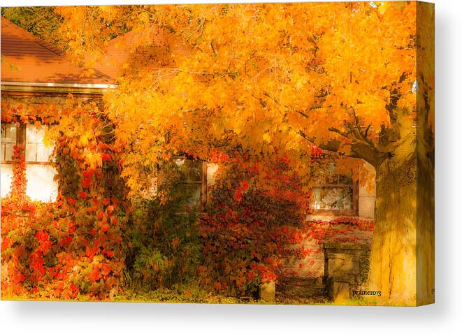 Autumn Canvas Print featuring the photograph Autumn's Camouflage by Patti Raine