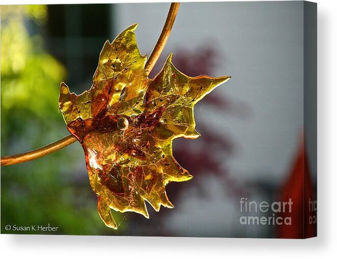 Flower Canvas Print featuring the photograph Autumn's Glass by Susan Herber