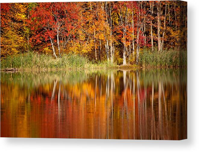Fall Canvas Print featuring the photograph Autumns True Colors by Karol Livote