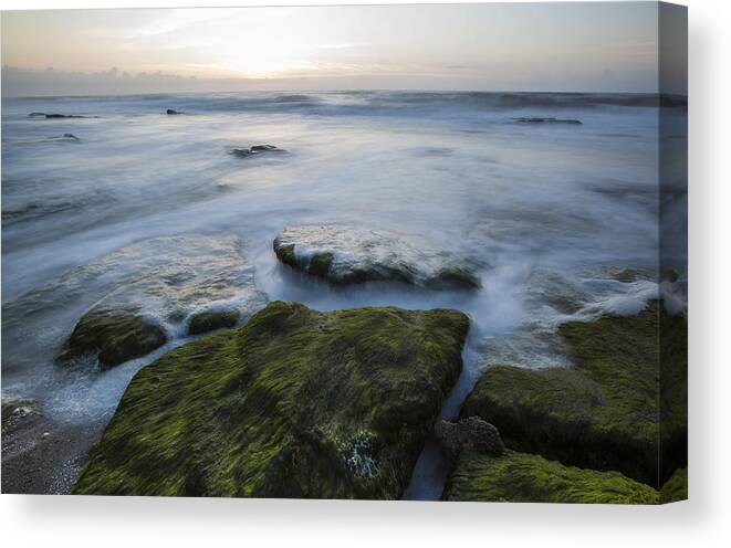 Surf Canvas Print featuring the photograph Awakening by Doug McPherson