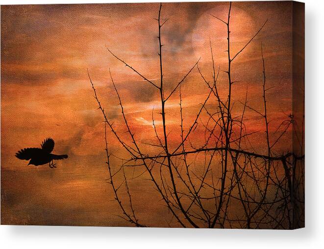 Bird Canvas Print featuring the photograph Away Home by Kathy Bassett